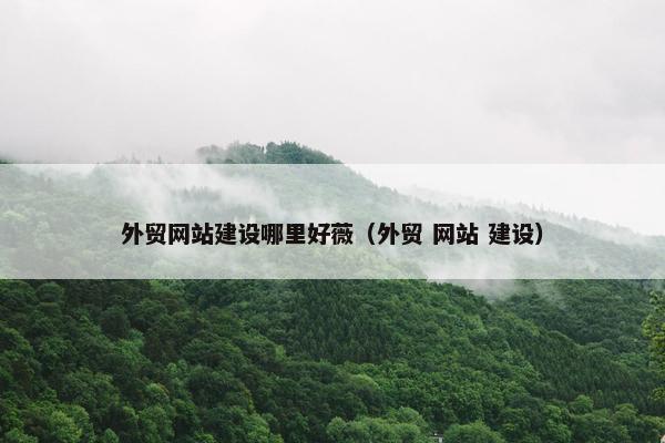 外贸网站建设哪里好薇（外贸 网站 建设）