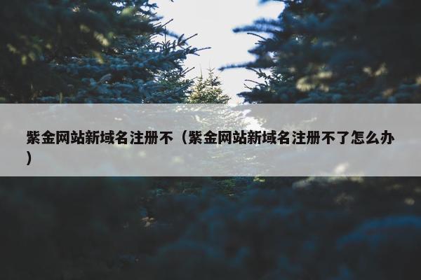 紫金网站新域名注册不（紫金网站新域名注册不了怎么办）