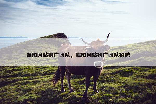 海阳网站推广团队，海阳网站推广团队招聘