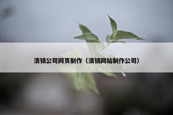 清镇公司网页制作（清镇网站制作公司）