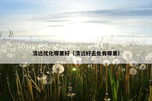 清远优化哪里好（清远好去处有哪里）