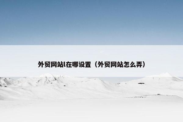 外贸网站l在哪设置（外贸网站怎么弄）