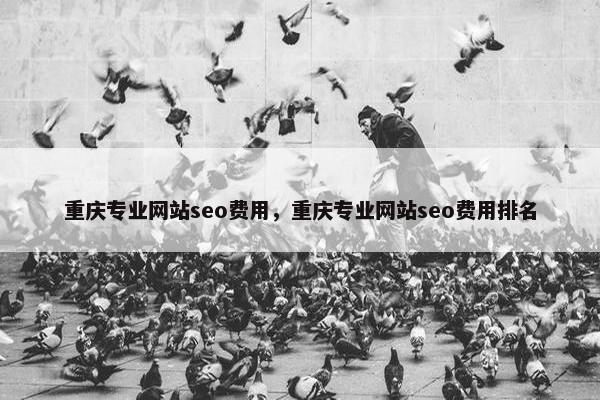 重庆专业网站seo费用，重庆专业网站seo费用排名