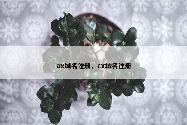 ax域名注册，cx域名注册