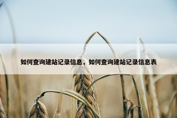 如何查询建站记录信息，如何查询建站记录信息表