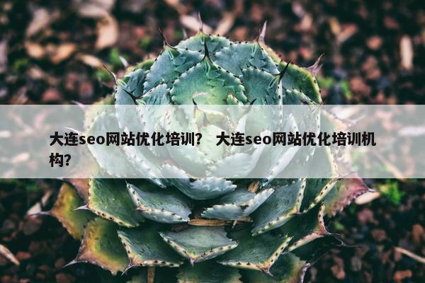大连seo网站优化培训？ 大连seo网站优化培训机构？