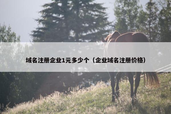域名注册企业1元多少个（企业域名注册价格）