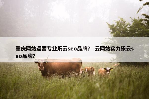 重庆网站运营专业乐云seo品牌？ 云网站实力乐云seo品牌？