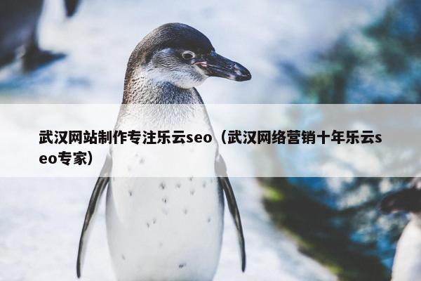武汉网站制作专注乐云seo（武汉网络营销十年乐云seo专家）