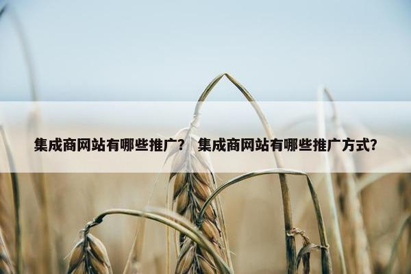 集成商网站有哪些推广？ 集成商网站有哪些推广方式？