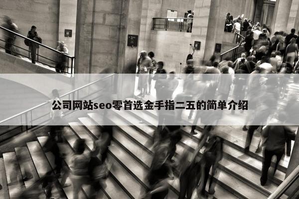 公司网站seo零首选金手指二五的简单介绍
