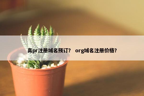 高pr注册域名预订？ org域名注册价格？