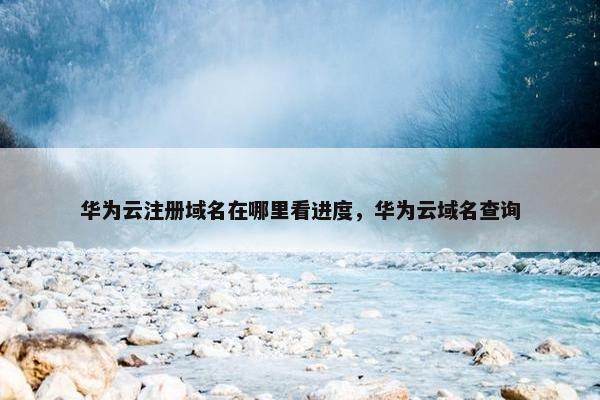 华为云注册域名在哪里看进度，华为云域名查询