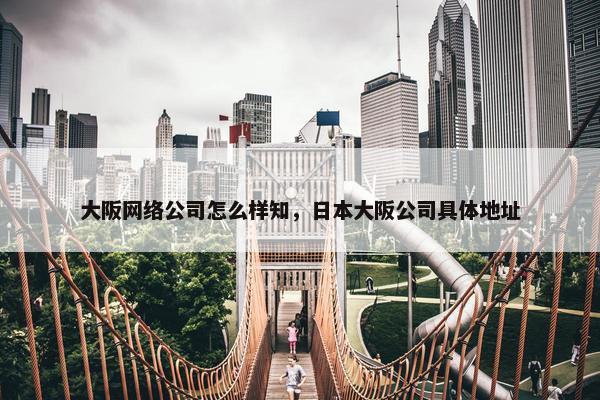 大阪网络公司怎么样知，日本大阪公司具体地址