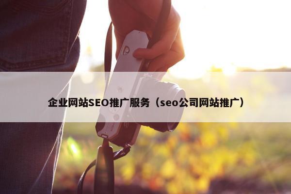 企业网站SEO推广服务（seo公司网站推广）