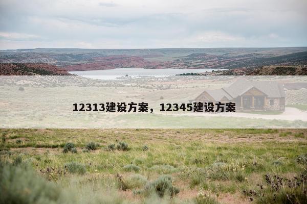 12313建设方案，12345建设方案