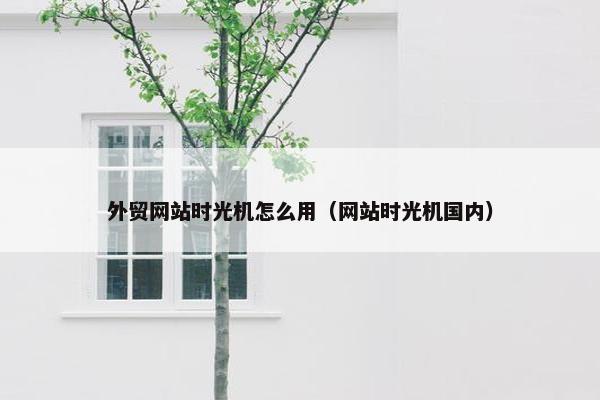 外贸网站时光机怎么用（网站时光机国内）