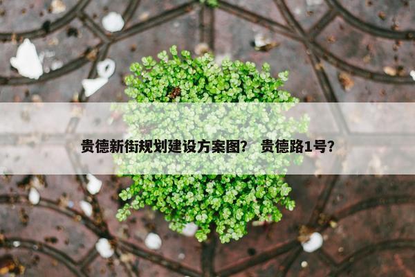 贵德新街规划建设方案图？ 贵德路1号？