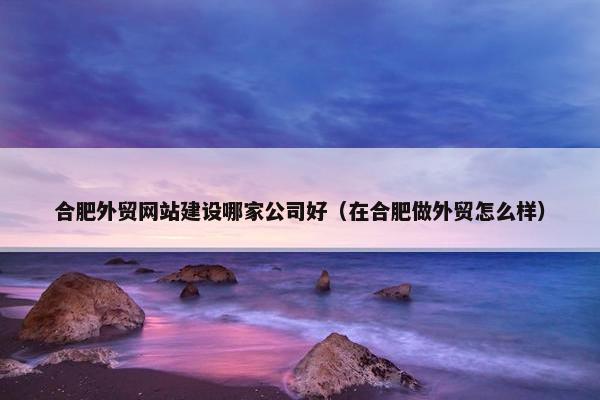 合肥外贸网站建设哪家公司好（在合肥做外贸怎么样）