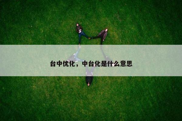 台中优化，中台化是什么意思