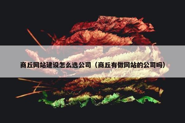 商丘网站建设怎么选公司（商丘有做网站的公司吗）