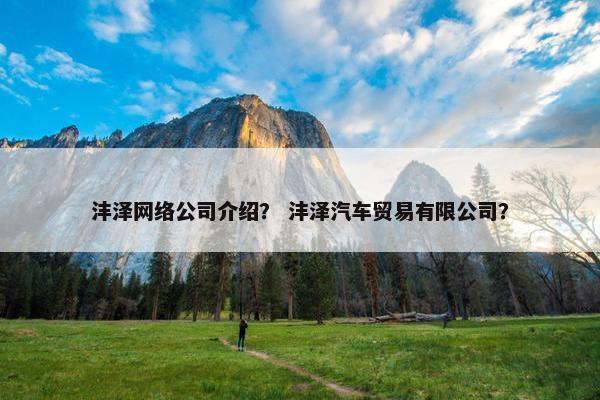 沣泽网络公司介绍？ 沣泽汽车贸易有限公司？