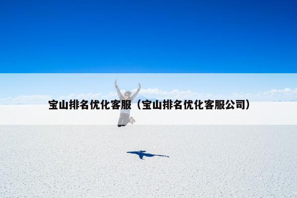 宝山排名优化客服（宝山排名优化客服公司）