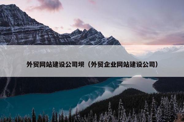 外贸网站建设公司坝（外贸企业网站建设公司）
