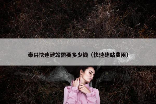 泰兴快速建站需要多少钱（快速建站费用）