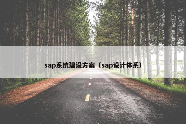 sap系统建设方案（sap设计体系）