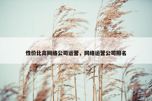 性价比高网络公司运营，网络运营公司排名