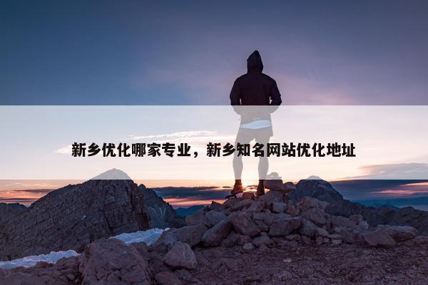 新乡优化哪家专业，新乡知名网站优化地址