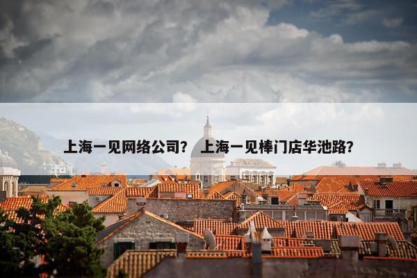 上海一见网络公司？ 上海一见棒门店华池路？