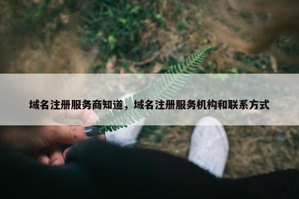域名注册服务商知道，域名注册服务机构和联系方式