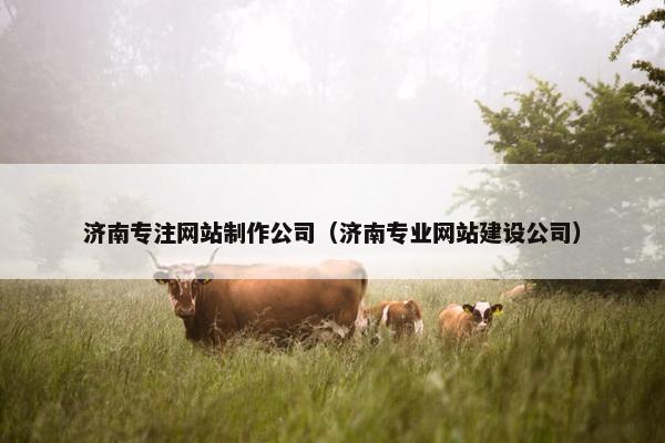 济南专注网站制作公司（济南专业网站建设公司）