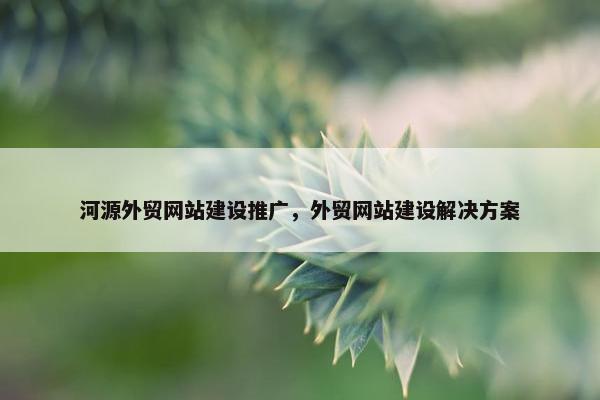河源外贸网站建设推广，外贸网站建设解决方案