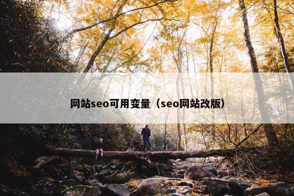 网站seo可用变量（seo网站改版）