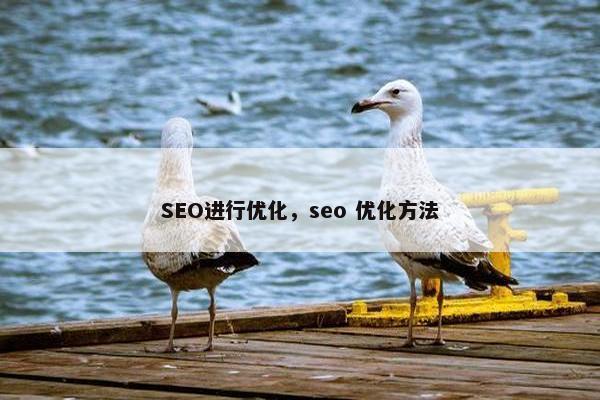 SEO进行优化，seo 优化方法