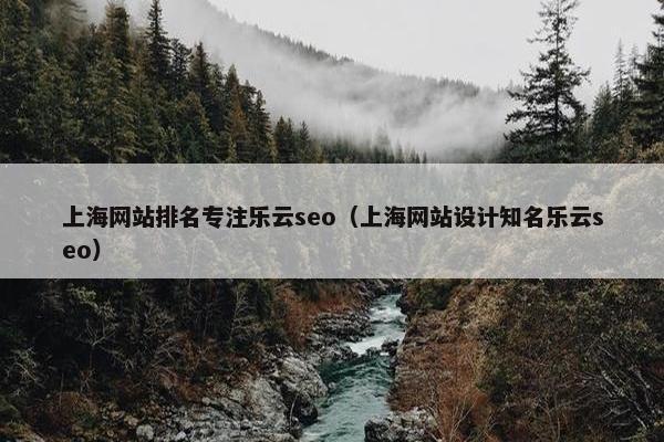 上海网站排名专注乐云seo（上海网站设计知名乐云seo）