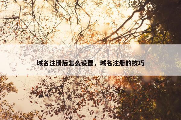 域名注册后怎么设置，域名注册的技巧