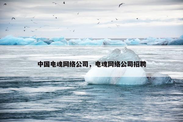 中国电魂网络公司，电魂网络公司招聘