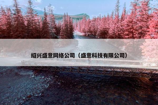绍兴盛意网络公司（盛意科技有限公司）
