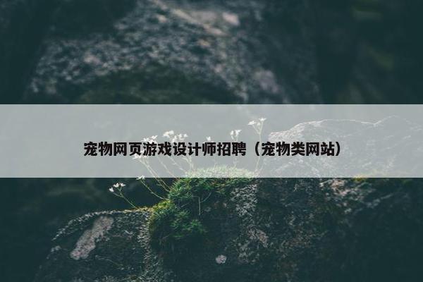 宠物网页游戏设计师招聘（宠物类网站）