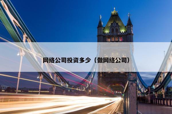 网络公司投资多少（做网络公司）