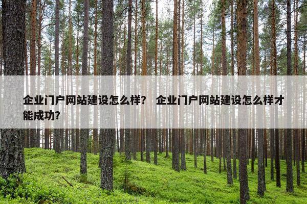 企业门户网站建设怎么样？ 企业门户网站建设怎么样才能成功？