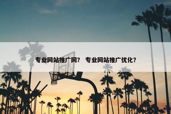 专业网站推广网？ 专业网站推广优化？