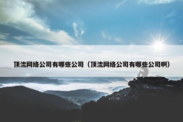 顶流网络公司有哪些公司（顶流网络公司有哪些公司啊）