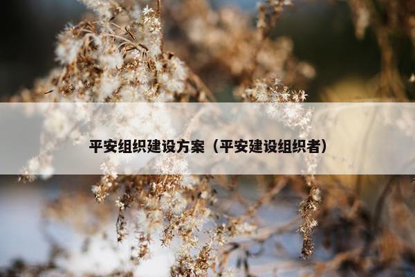 平安组织建设方案（平安建设组织者）
