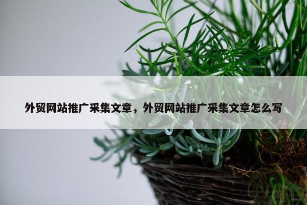 外贸网站推广采集文章，外贸网站推广采集文章怎么写