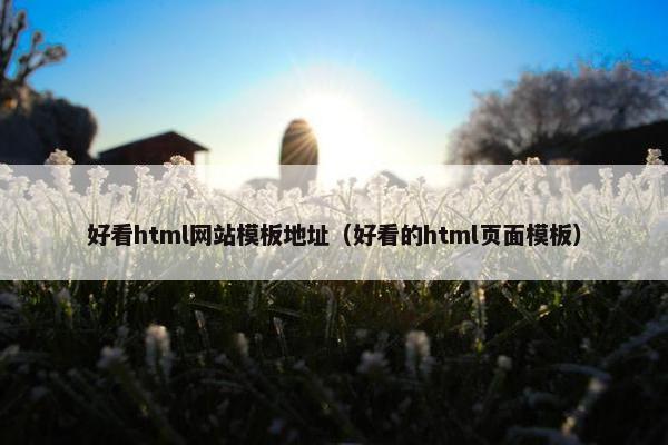 好看html网站模板地址（好看的html页面模板）